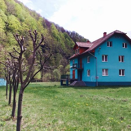 ホテル Casa Verde Rîu de Mori エクステリア 写真