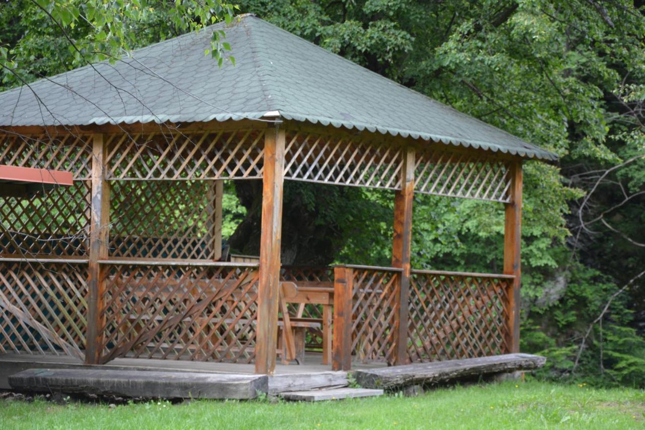 ホテル Casa Verde Rîu de Mori エクステリア 写真