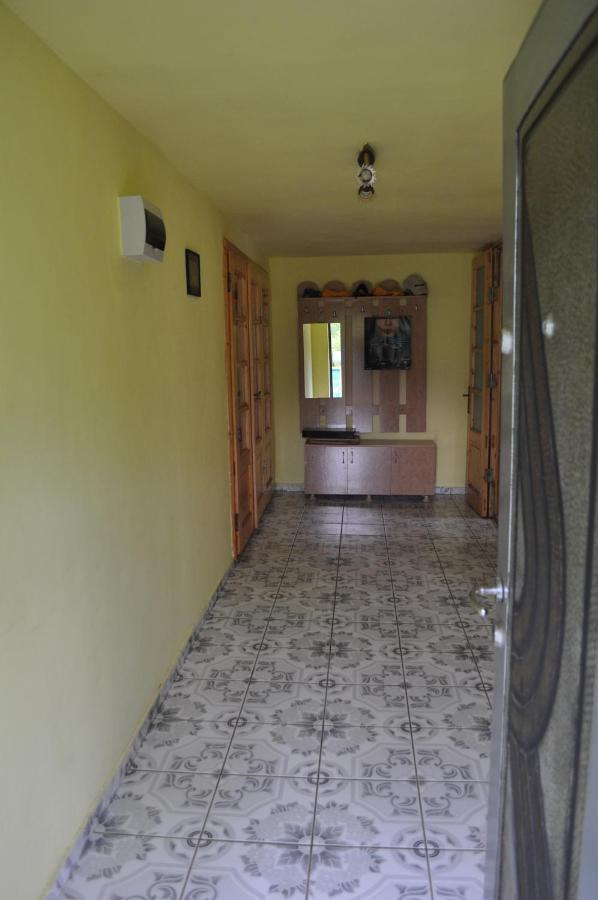ホテル Casa Verde Rîu de Mori エクステリア 写真