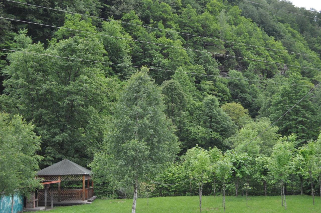 ホテル Casa Verde Rîu de Mori エクステリア 写真