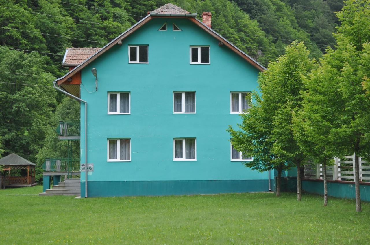 ホテル Casa Verde Rîu de Mori エクステリア 写真