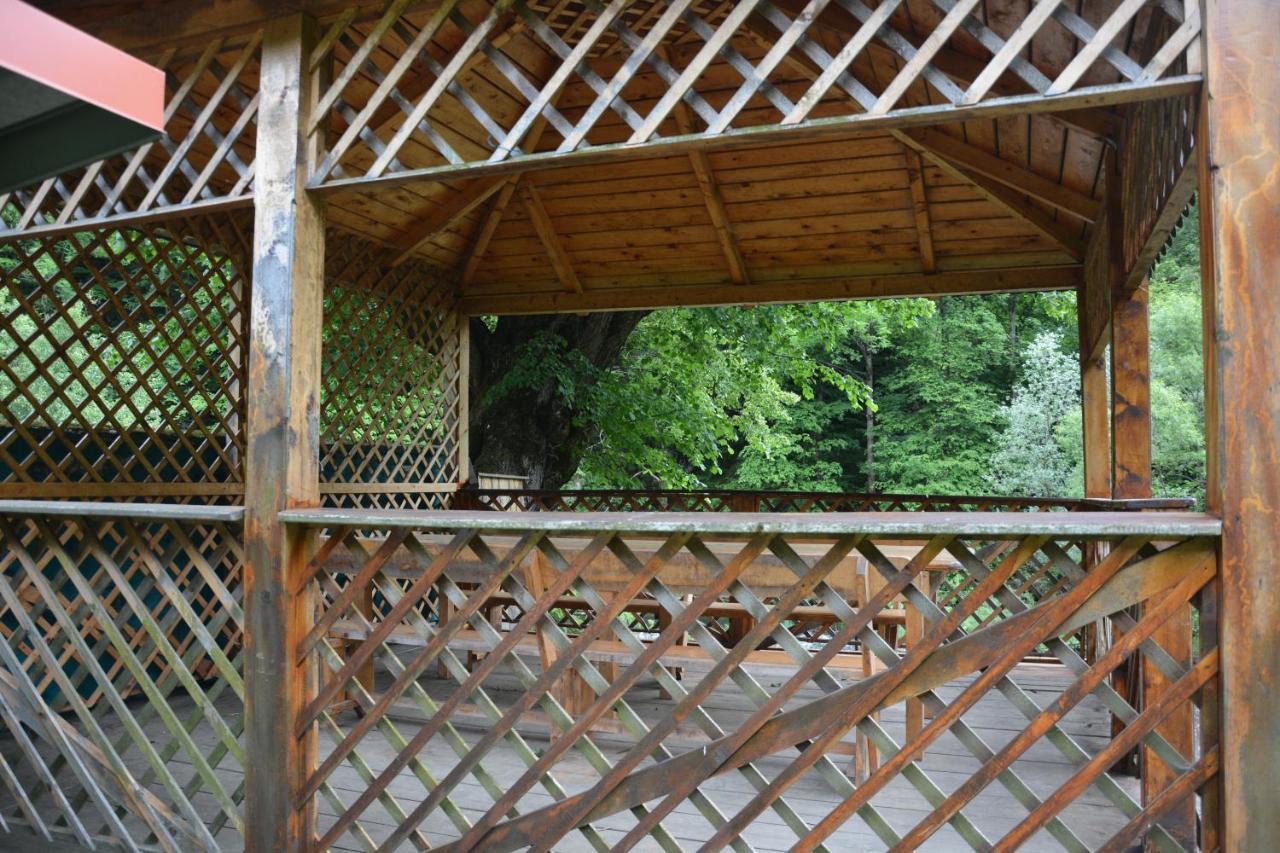 ホテル Casa Verde Rîu de Mori エクステリア 写真