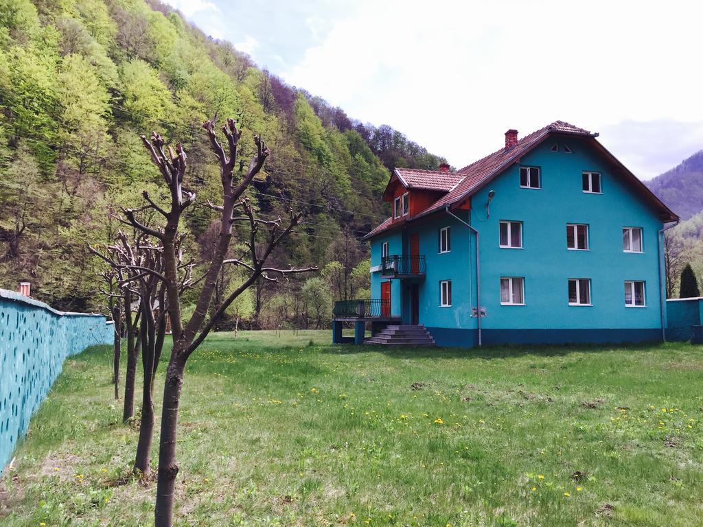 ホテル Casa Verde Rîu de Mori エクステリア 写真